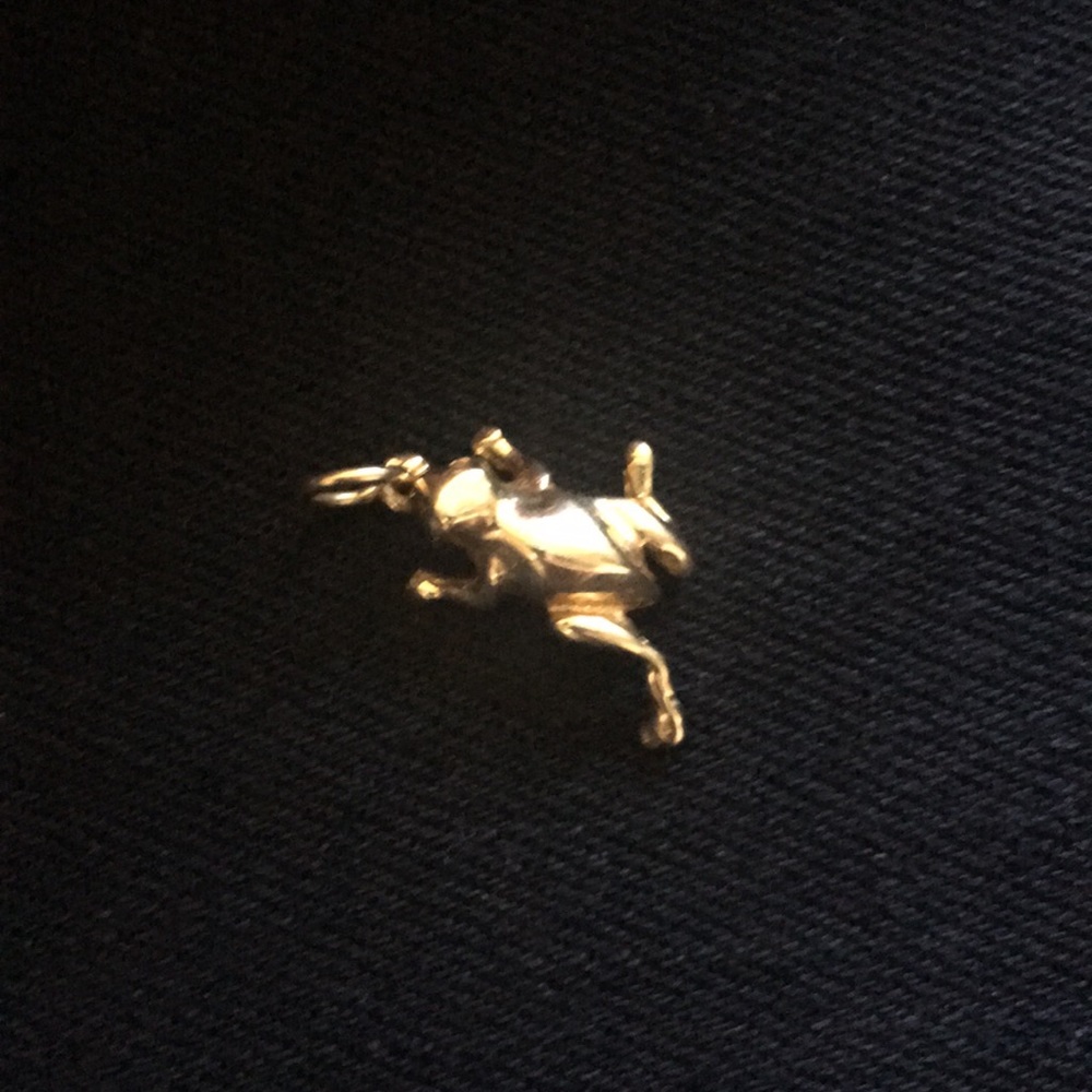 Cute and unique frog 🐸 pendant